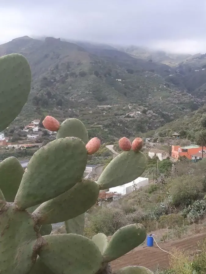 La Casa De Mario Διαμέρισμα Valsequillo